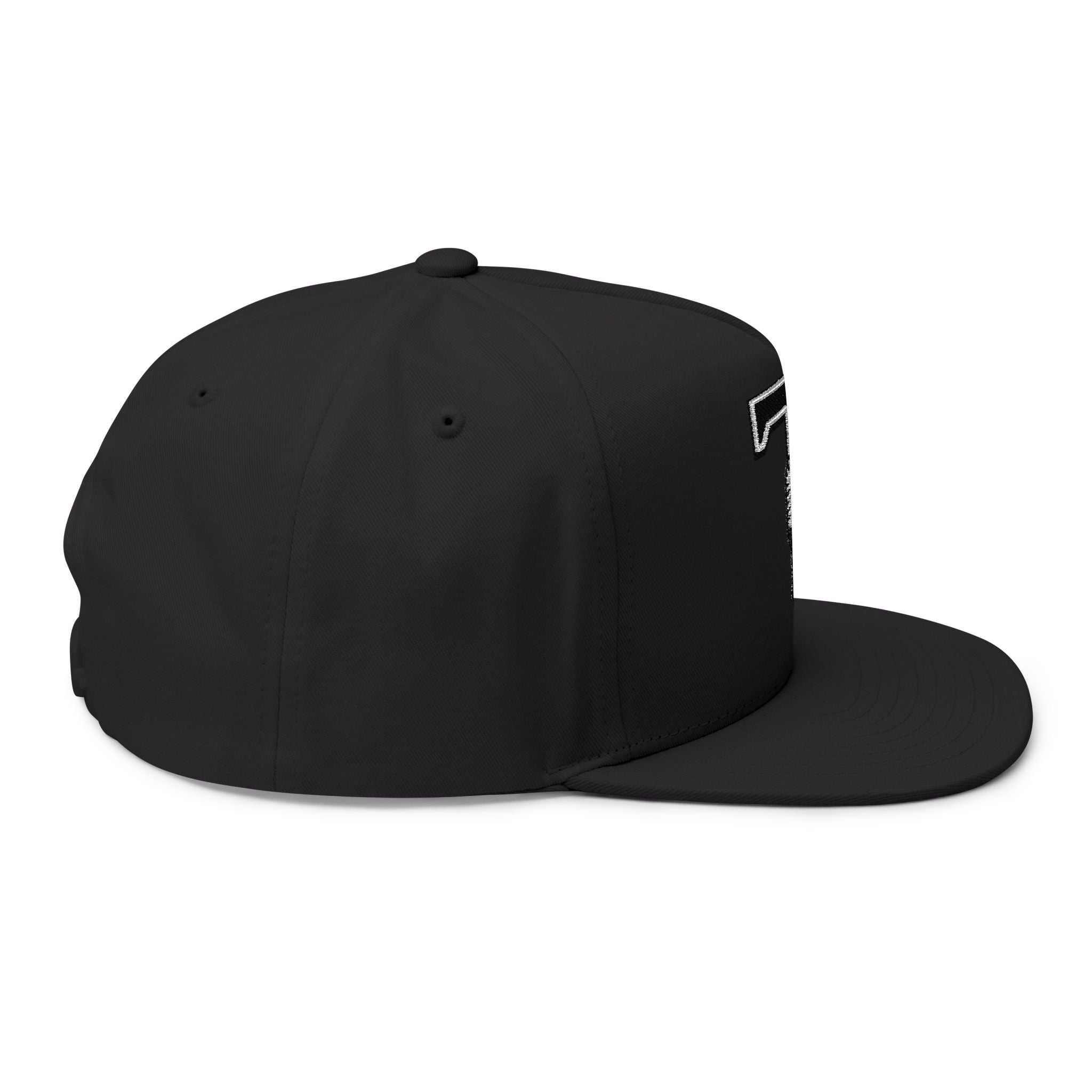 Embroidered Microphone Snapback Hat — Retro Radio T Logo Cap